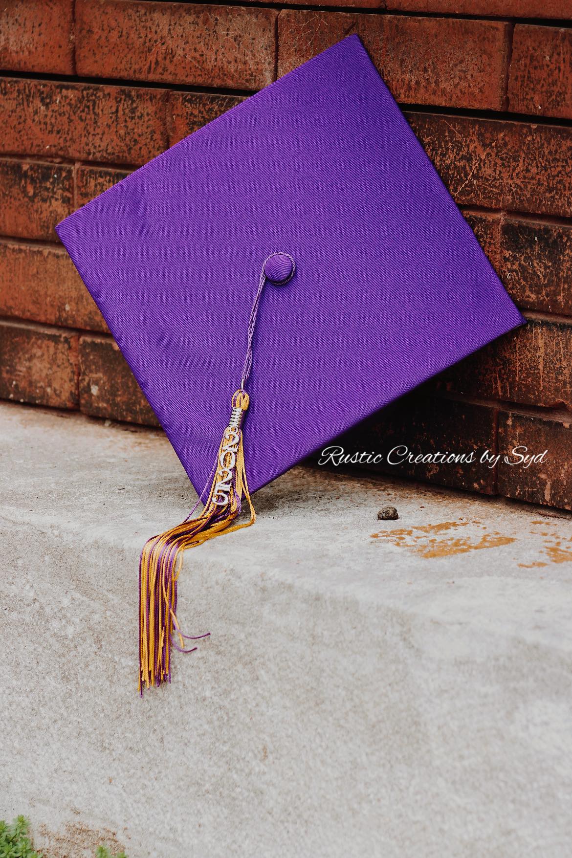 Adopt a senior project